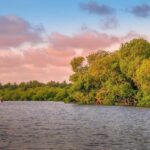 From Nairobi: Crescent Island Safari Experience - Who is This Tour Best For?