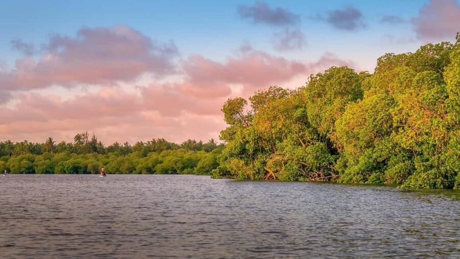 From Nairobi: Crescent Island Safari Experience - Who is This Tour Best For?