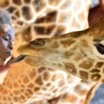 From Nairobi: Elephant Orphanage and Giraffe Center Day Tour - The Experience and Authenticity