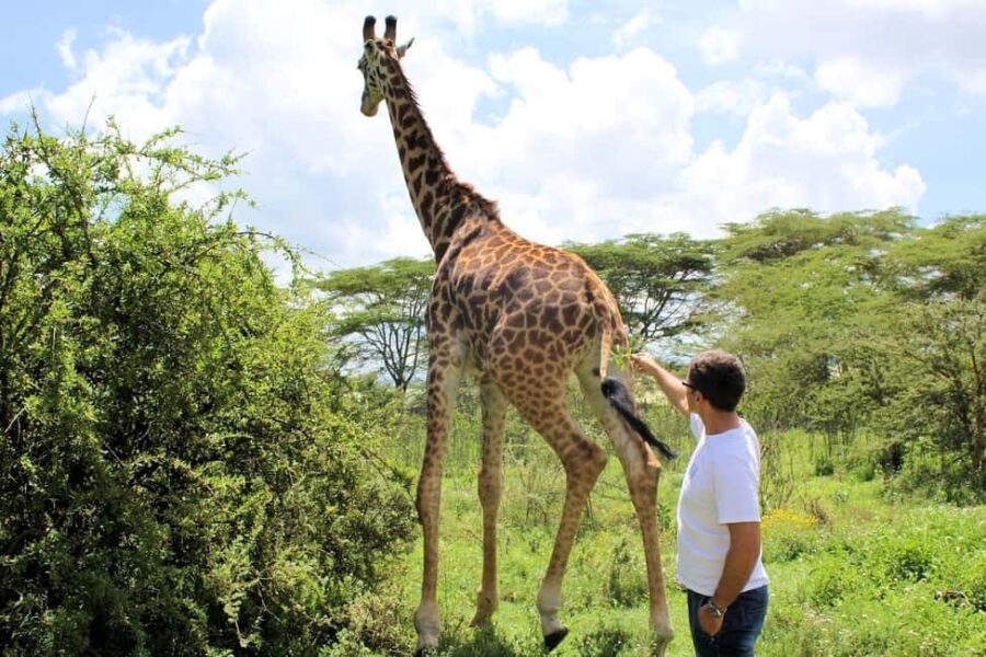 From Nairobi: Hell's Gate and Lake Naivasha Day Trip - An In-Depth Look at the Hells Gate and Lake Naivasha Tour