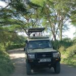 From Nairobi: Lake Nakuru National Park and Lake Naivasha - Who Will Love This Tour?