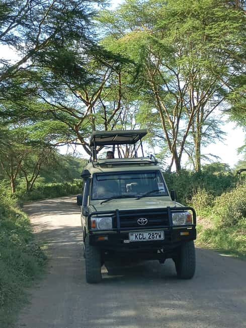 From Nairobi: Lake Nakuru National Park and Lake Naivasha - Who Will Love This Tour?
