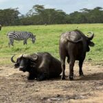 From Nairobi: Lake Nakuru National Park Day Trip - What’s Included and What’s Not