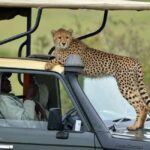 From Nairobi: Masai Mara 3-day Camping Safari by Jeep - A Day-by-Day Breakdown of the Safari