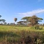 From Nairobi: Masai Mara 6-day Budget Safari - Authentic Experiences & Real-World Insights
