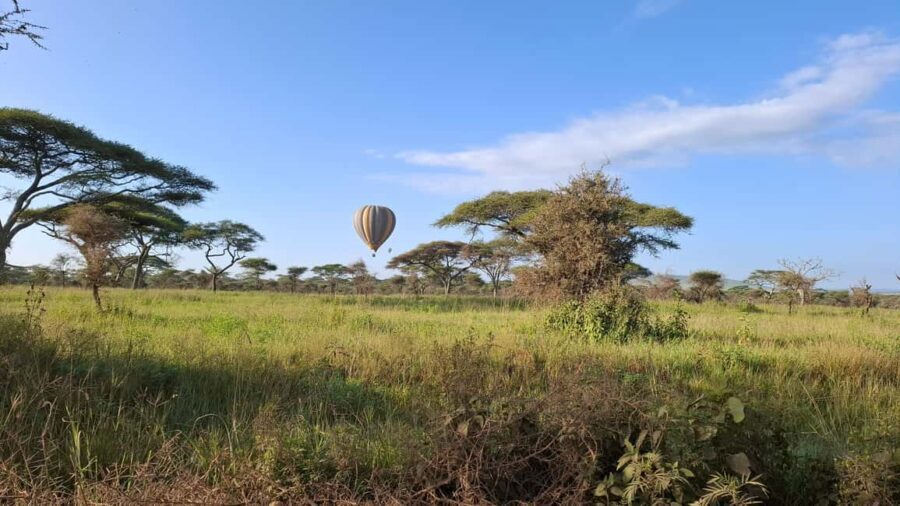 From Nairobi: Masai Mara 6-day Budget Safari - Authentic Experiences & Real-World Insights