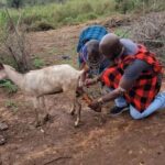 From Nairobi :Masai Tribe Village Visit - Who Should Consider This Tour?