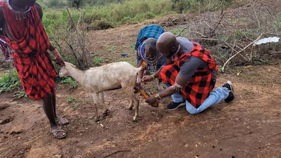 From Nairobi :Masai Tribe Village Visit - Who Should Consider This Tour?