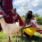 From Nairobi: Masai Village Full Day Trip - The Itinerary Breakdown