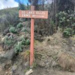 From Nairobi: Mount Kenya Day Hike with Transfers - Why the Experience Offers Good Value