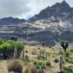 From Nairobi: Mount Kenya Hike Day Trip - An In-Depth Look at the Mount Kenya Day Trip