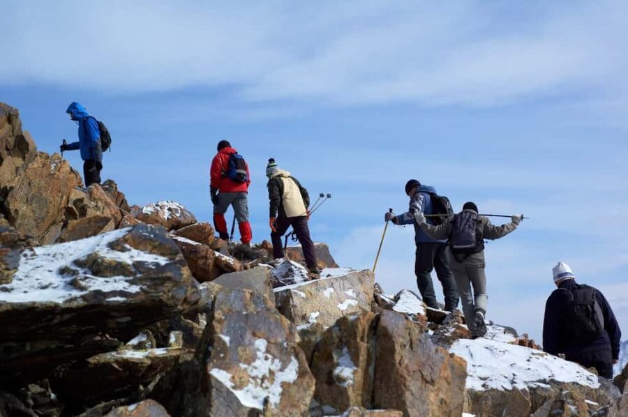 From Nairobi: Mount Kenya National Park Full-Day Hike - A Closer Look at the Experience
