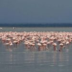 From Nairobi: Overnight Lake Nakuru and Hells Gate - Discovering the Scenic Drive from Nairobi