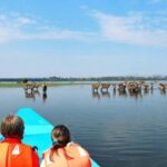 From Nairobi: Overnight Lake Nakuru and Naivasha Safari - What Makes This Tour Stand Out?