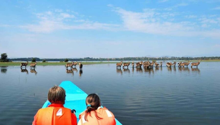 From Nairobi: Overnight Lake Nakuru and Naivasha Safari - What Makes This Tour Stand Out?