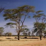 From Nairobi: Overnight Lake Nakuru & Hell's Gate Park - What the Tour Includes and Why It Matters