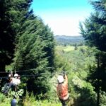 From Nairobi: Zipline Adventure Safari - What We Love About This Tour