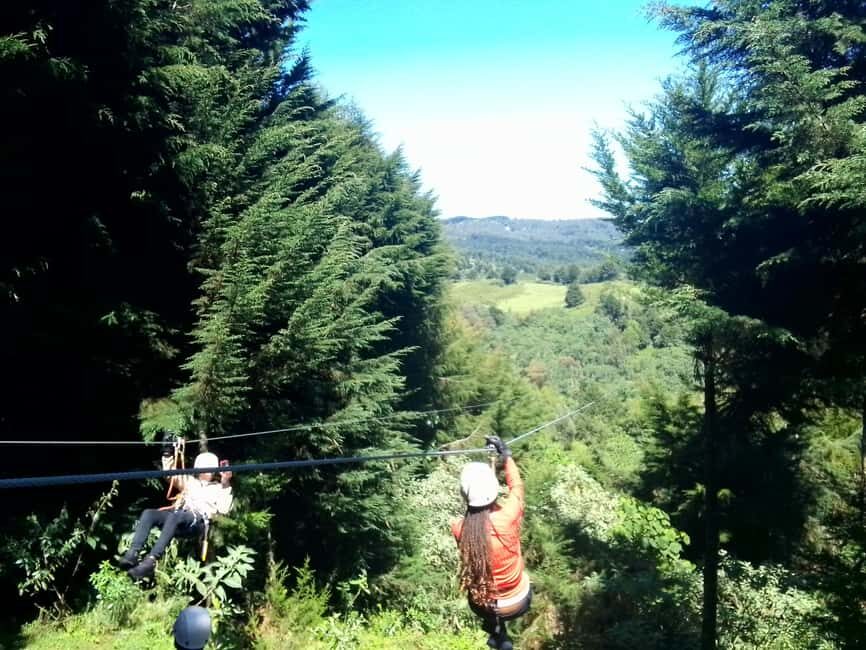 From Nairobi: Zipline Adventure Safari - What We Love About This Tour
