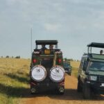 From Nairobi:3-Days 2-Nights Maasai Mara Group Safari in 4WD - The Value of This Safari
