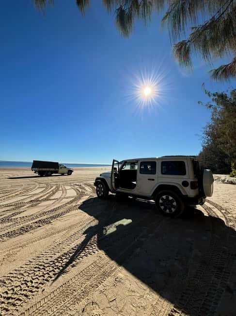 From Noosa: 4WD Beach and Walking Adventure - Practical Tips for Your Day Out