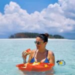 From Nungwi/Kendwa: Mnemba Atoll Starfishes & Dolphins Tour - The Practicalities
