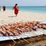 From Nungwi/Kendwa: Prison Island and Nakupenda Sandbank - Final Thoughts
