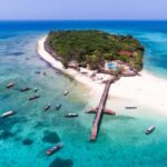 FROM NUNGWI/KENDWA:STONE TOWN, PRISON ISLAND & JOZANI FOREST - Summary