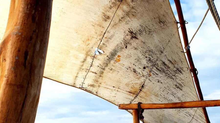 From Nungwi : Mnemba Boat Trip and Dolphin Snorkel Adventure - The Value and Realities of the Tour
