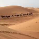 From Ouarzazate: 3-Day Desert Tour to Marrakech - What This Tour Means for You