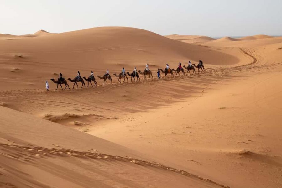 From Ouarzazate: 3-Day Desert Tour to Marrakech - What This Tour Means for You