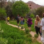 From Ouarzazate: Aït Benhaddu, Fint Oasis & Film Studio Trip - Lunch with a View: A Relaxing Break