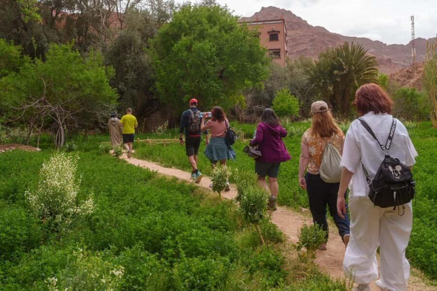 From Ouarzazate: Aït Benhaddu, Fint Oasis & Film Studio Trip - Lunch with a View: A Relaxing Break