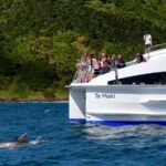 From Paihia: Day in the Bay - Full-Day Bay of Islands Cruise - What Makes This Tour Stand Out?