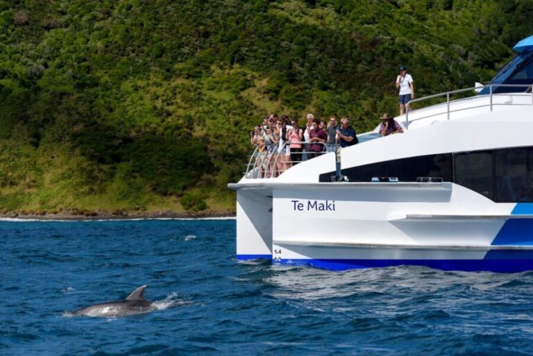 From Paihia: Day in the Bay - Full-Day Bay of Islands Cruise - What Makes This Tour Stand Out?