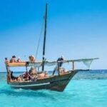 From Paje/Jambian: Safari Blue Snorkelling with Lunch - Practical Details and What to Expect