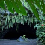 From Papeete: Tahiti Highlights Full-Day Private Tour - Final Thoughts