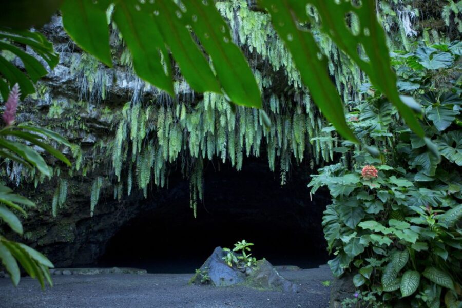 From Papeete: Tahiti Highlights Full-Day Private Tour - Final Thoughts