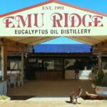 From Penneshaw: Kangaroo Island Sights and Wildlife Tour - Who Will Love This Tour?