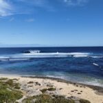 From Perth: Margaret River Region Impression Day Tour - What to Expect: The Day in Detail