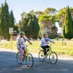 From Perth: Rottnest Island Full-Day Bike and Ferry Trip - The Value and Practicalities