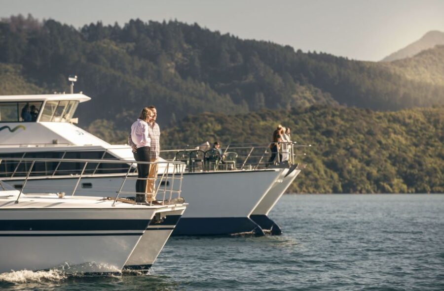 From Picton: Marlborough Sounds Cruise with Seafood - The Experience’s Value & Who It Suits