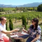 From Picton: Marlborough Wine Trip Shore Excursion - Why This Tour Excels