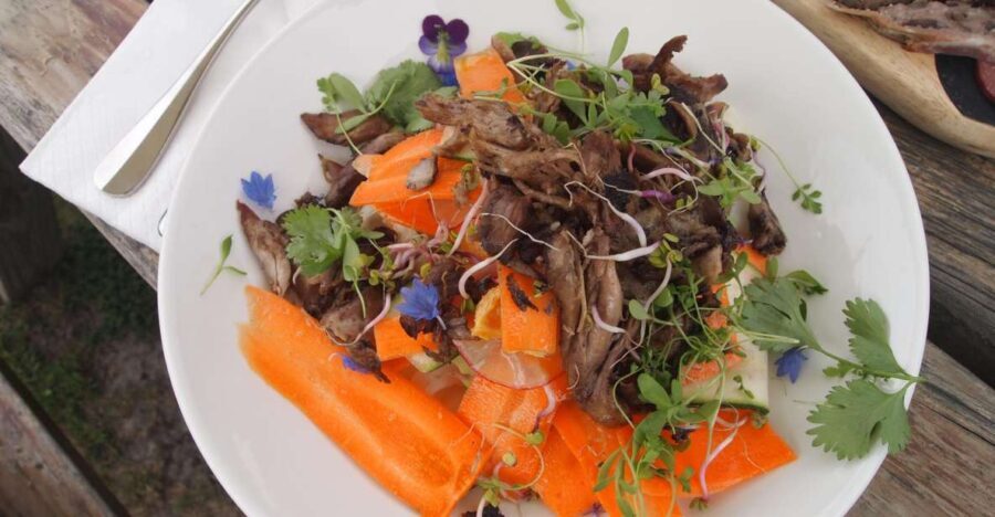From Picton: Private Wine and Gourmet Tour of Marlborough - What to Expect: Practical Details and Tips