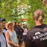 From Port Douglas: Daintree Rainforest & Mossman Gorge Tour - Why This Tour Offers Great Value