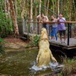 From Port Douglas: Hartley's Crocodile Park, Skyrail & Train - Transportation, Timing, and Practicalities