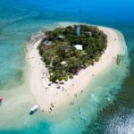 From Port Douglas: Low Isles Great Barrier Reef Sailing Tour - The Itinerary: What You Can Expect