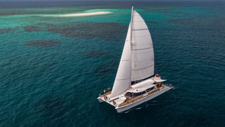 From Port Douglas: Outer Reef Cruise by Luxury Catamaran - The Itinerary Breakdown: What to Expect