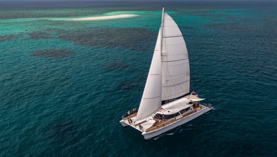 From Port Douglas: Outer Reef Cruise by Luxury Catamaran - The Itinerary Breakdown: What to Expect