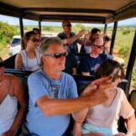 From Port Elizabeth: 5-Day Garden Route Tour to Cape Town - An In-Depth Look at the 5-Day Garden Route Tour