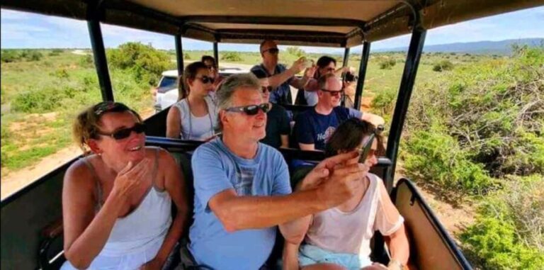 From Port Elizabeth: 5-Day Garden Route Tour to Cape Town - An In-Depth Look at the 5-Day Garden Route Tour
